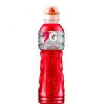 Gatorade Fruit Punch 600 ml.